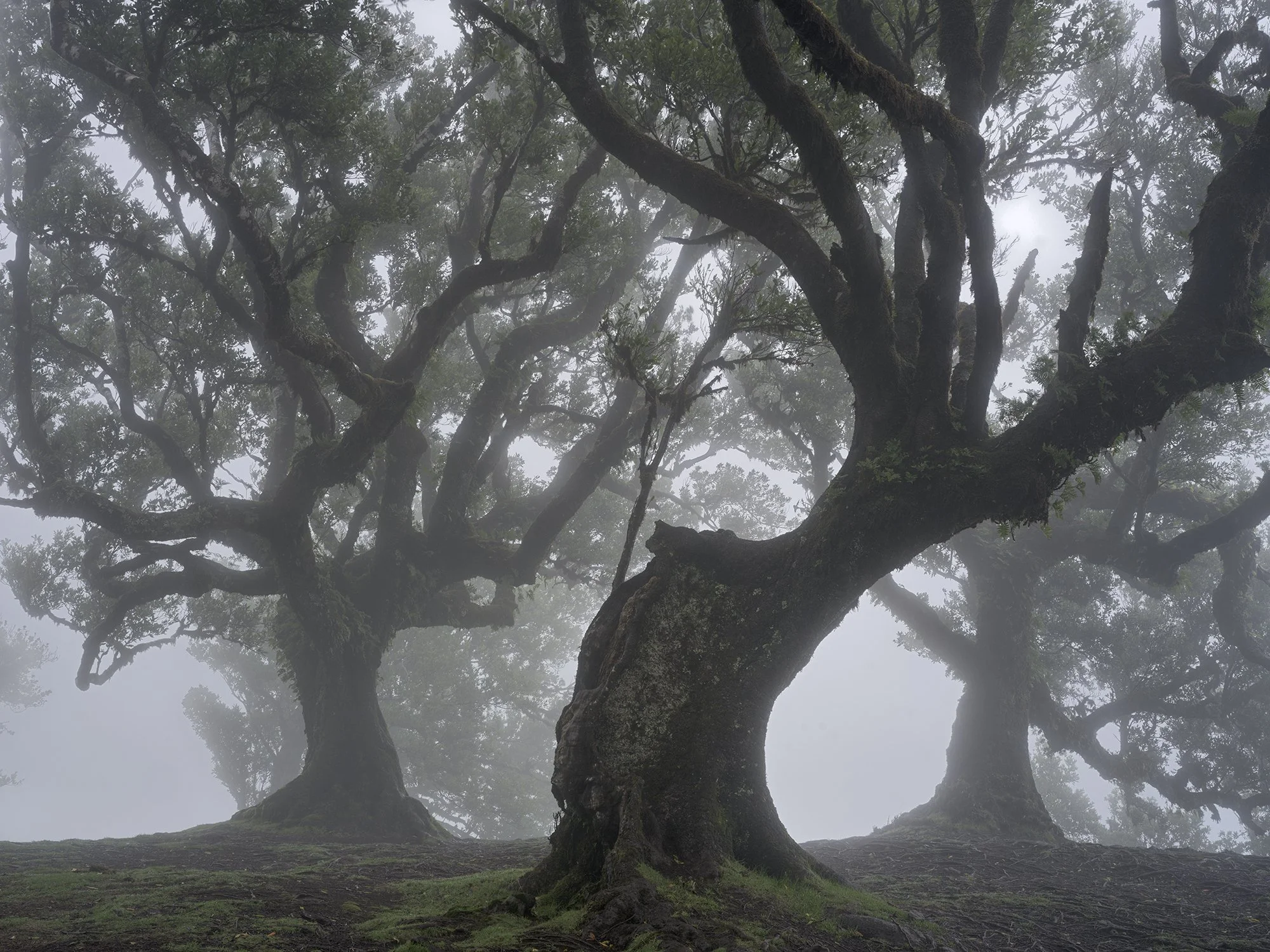 Intimate Landscapes — Hans Strand Photography